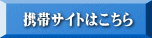 gуTCg͂ 